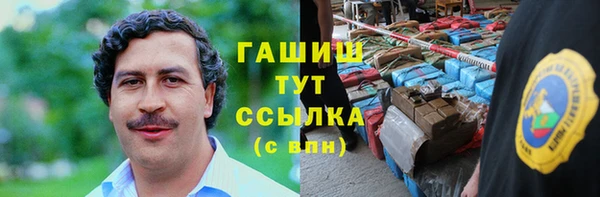 прущий лед Алзамай