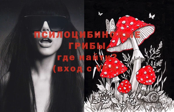 дурь Алексин