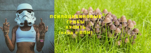 прущий лед Алзамай