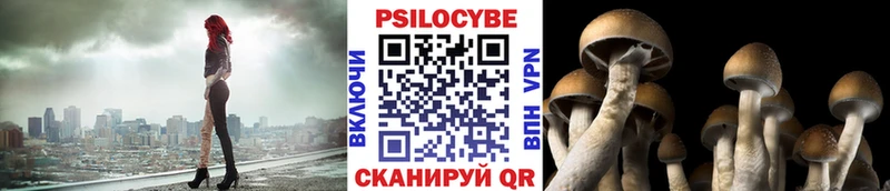 Псилоцибиновые грибы Cubensis  где купить   Вологда 