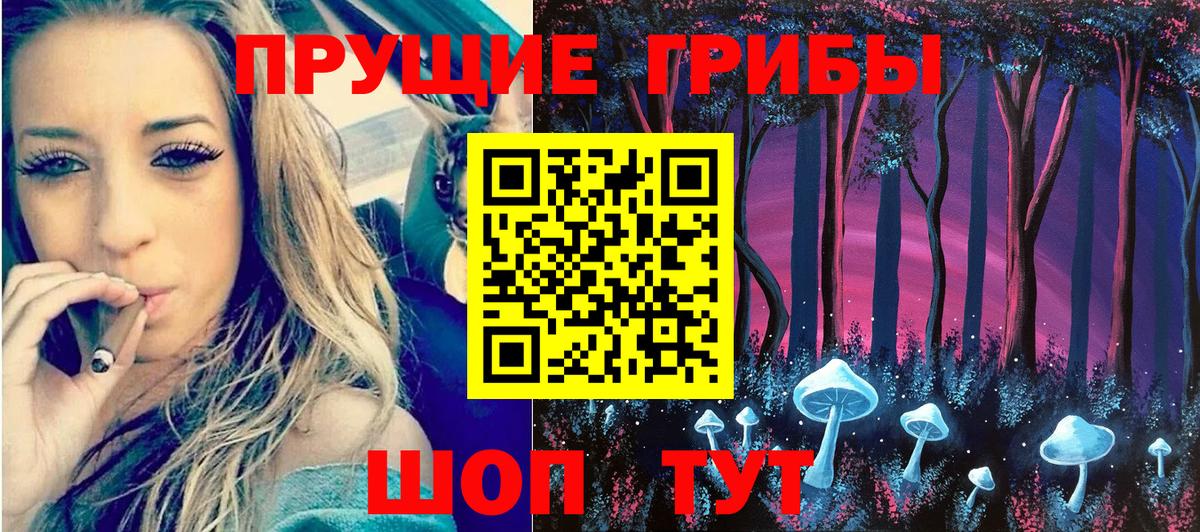Вологда  Галлюциногенные грибы прущие грибы  Вход с VPN 