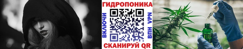 это Telegram  Вологда  Канабис Amnesia  купить наркотики сайты 